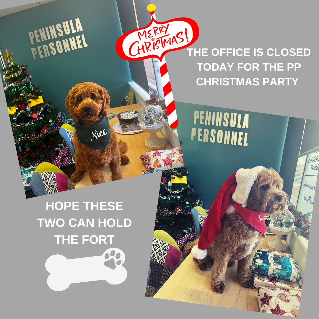 Pp Christmas Party Peninsula Personnel Recruitment Services Dee Why Northern Beaches 02 9972 2944
